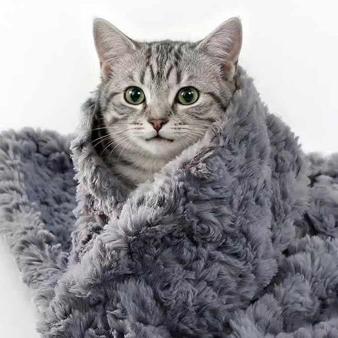 Cat Blanket for Indoor Cats - Ultra Thick 460GSM Faux Rabbit Fur & 260GSM Sherpa, Small Pet Throw for Carrier, Crate & Couch Protection, Soft Thermal Kitten Bedding, 21"x18" Grey