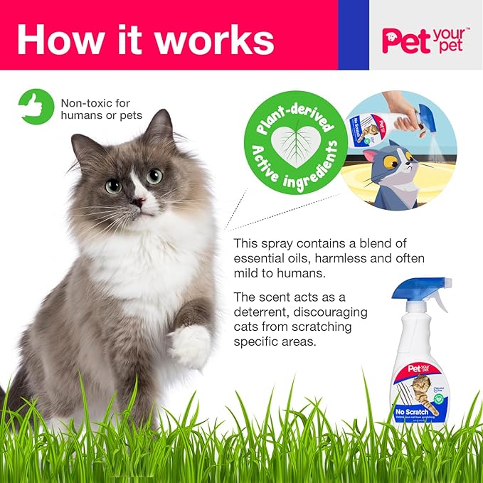 No Scratch Cat Deterrent Spray, 16 Fl Oz– Non-Toxic for Carpets and Furniture – Natural Cat Stop Scratching Deterrent Spray – Indoor/Outdoor Kitten - Anti-Scratch Keep Off
