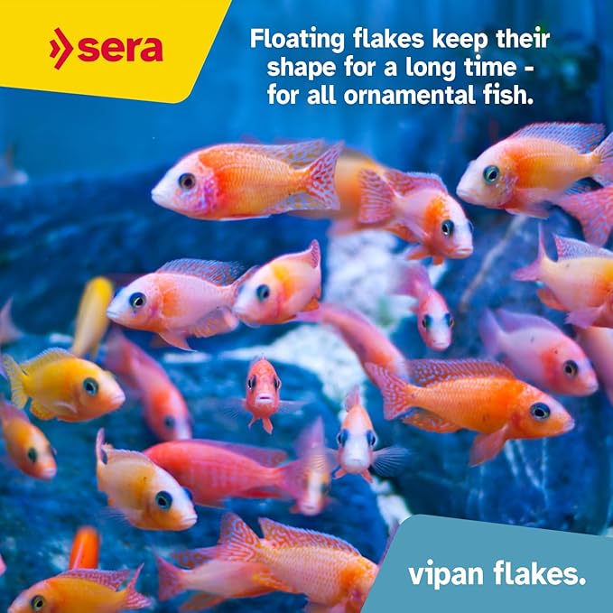 Sera Vipan Tropical Flakes 100 ml 0.7 oz (22 g) | Floating Fishfood with 4% Insect Protein & Probiotics | Aquarium Fish Food for Freshwater Aquariums
