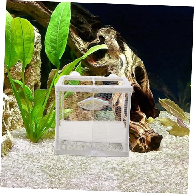 Yardwe 2pcs Fish Breeding Isolation Box Transparent Plastic Hatching Tank Suction Cups for Betta and Guppy Fry Lightweight and Easy to Install Fish Tank Divider