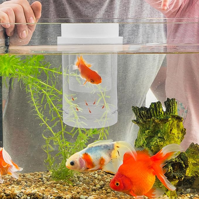 Fish Breeding Box and Floating Hatchery Incubator Set with Fine and Coarse Mesh, Aquarium Isolation Box for Guppy Fry and Betta, Small Size White Aquarium Fish Hatchery Divider