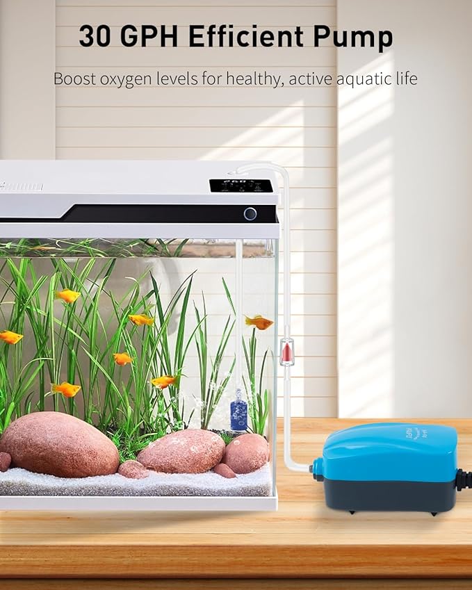 Pawfly Brine Shrimp Hatchery Kit, Shrimp Egg Incubator, Brine Shrimps Hatching Set, Artemia Hatchery with Air Pump, Live Brine Shrimps Net, Automatic Feeders & More