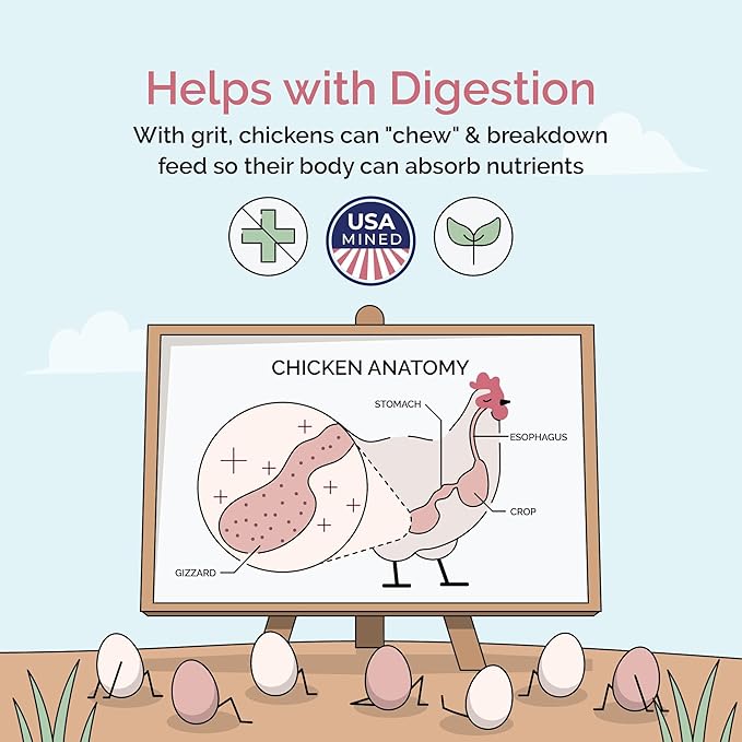 Mile Four Chick Grit (50 lbs) for Baby Chicks Chickens Age 0-8 Weeks, 100% Natural Mineral Chick Grit Quartzite, Poultry Grit Digestive Aid, USA Mined