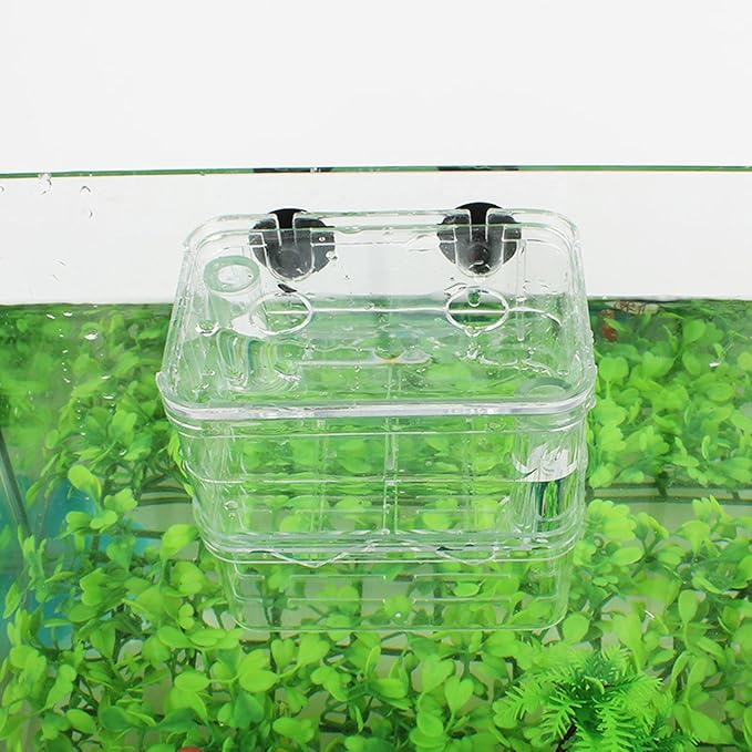 Suspended Double Compartment Fish Breeding Tanks Clear Incubator Box Set of 2 for Fry and Shrimp Hatching Breedinig Use Fish Isolation Container