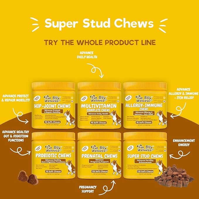 Reproductive Health Supplement for Dogs – Fertility & Breeding Support Chews with L-Carnitine, Zinc, Ginseng & Vitamins – Boosts Reproductive Cells, Testosterone & Vitality – 120 Soft Chews