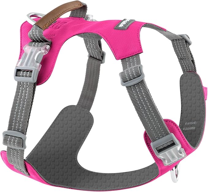 No Pull Dog Harness – Adjustable Reflective Nylon Vest for Small Medium Large Dogs, Escape Proof Training Harness with Leather Control Handle, Lightweight Aluminum Hardware (Hot Pink, M)
