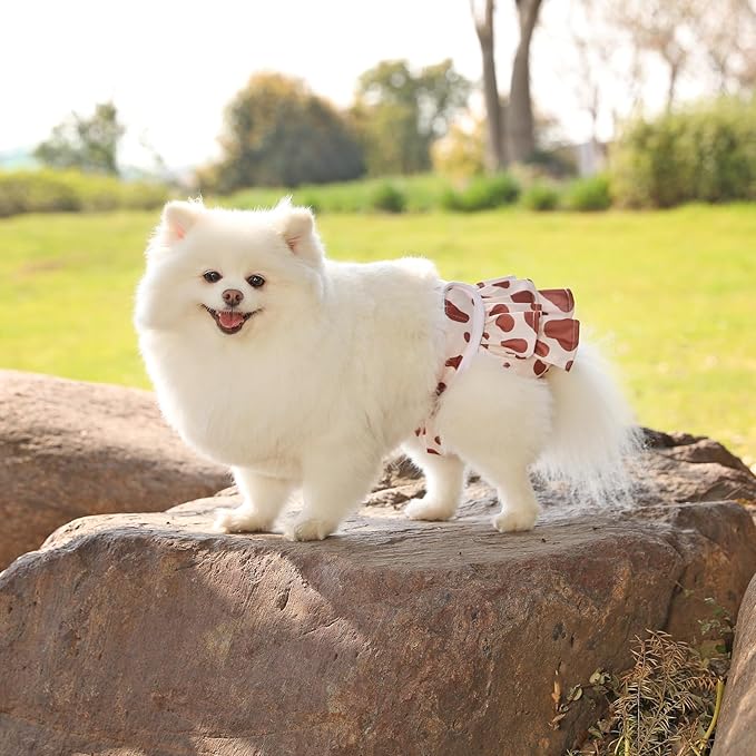 Reusable Dog Diapers Female 3 Pack Doggie Diapers for Period Heat Incontinence Puppy Training (Medium, Animal Print)