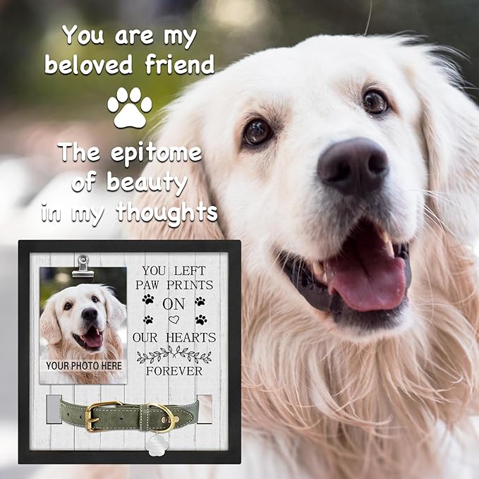 Pet Loss Gift for Loss of Dog, Memorial Sympathy Gifts Pet Memorial Frame, Cat Memorial Gift, You Left paw Prints