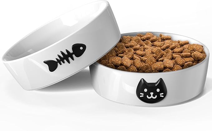 Ceramic Cat Bowls for Indoor Cats - Cat Food Bowl & Water Bowl Set of 2 with Anti-Slip Rings - Whisker Friendly Kitten Supplies Feeding & Watering - Pet Bowls for Kitten and Small Size Dog
