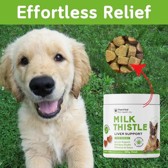 Milk Thistle for Dogs - Max Strength Liver Support Chews, Wild Alaskan Salmon Oil & Curcumin - Kidney Detox & Hepatic Support - Natural Liver Support Chews Made with Real Chicken, Choline & NAC