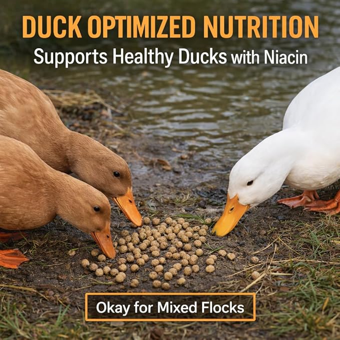 Duck Feeder Floating Duck Food Pellets for Ponds & Parks | Safe Feed for Ducks, Geese & Swans | Floats for Hours | with Niacin | Ditch The Bread, Feed The Revolution (5 lb)