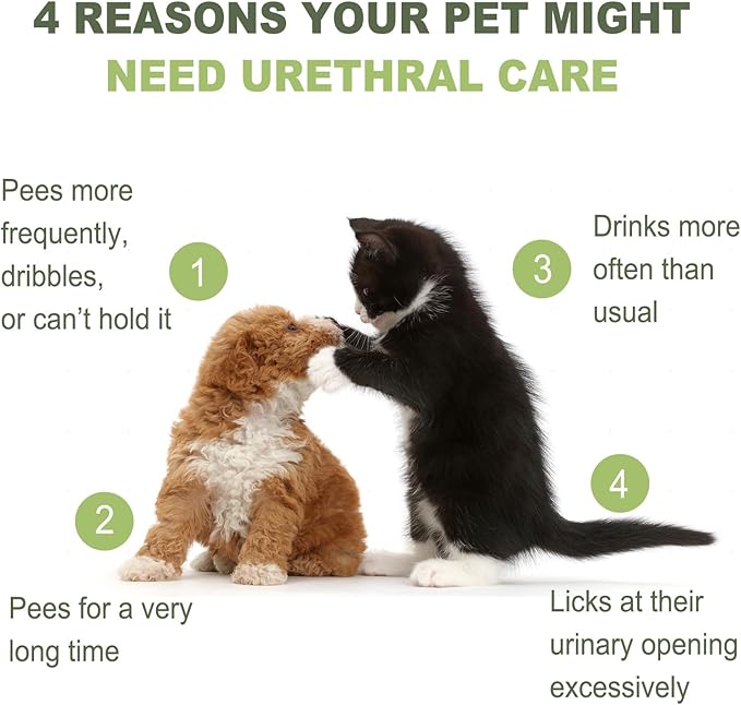 Urinary Health Liquid Supplement for Cats for Dogs – Cranberry, Herbal Extracts & Vitamins – Supports Urinary Tract, Reduces Infections & Stones – All Life Stages, 3.38oz (100ml)