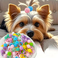 50pcs Dog Hair Bows Puff Ball,Pompom with Elastic Cotton Hair Tie Band for Doggy Puppy Cats Kitten Pets,Yorkshire Grooming Hair Accessories,No Damage Hair,0.75inch Hair Rope Multicolored