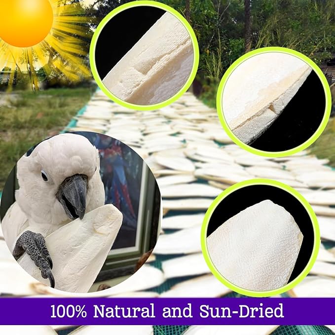 Bird Cuttlebone for Parakeets Cuttlebone for Birds - 100% Natural Cuttlefish Bone Bulk Chew Toy Bird Bites Calcium Stone for Canaries Tortoises,Snails,Reptiles,Parrots,Cockatiel