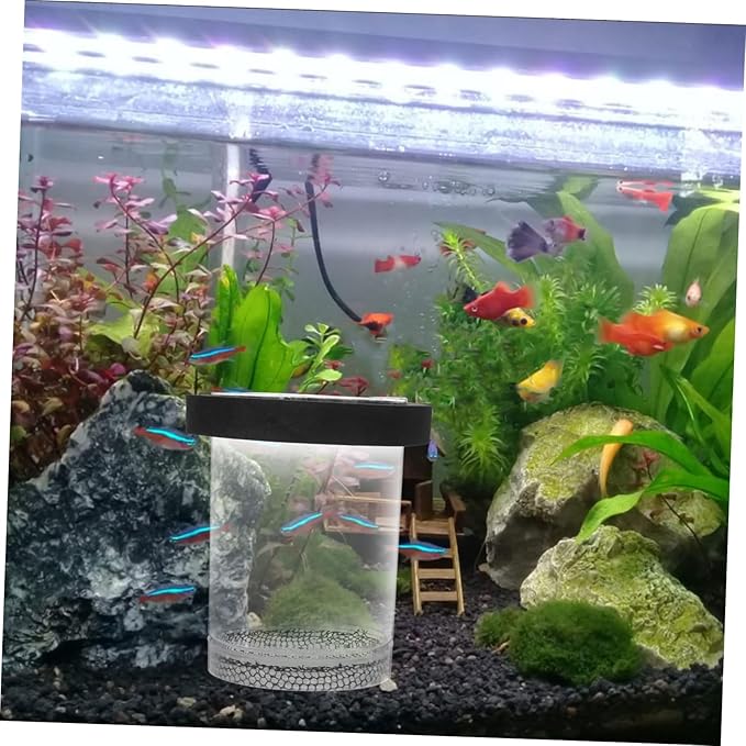Box Pot Fish Breeding Cage Aquarium Hatchery Tank Hatchery Incubators Breeding Cage for Guppy Betta Fish Tank Floating Fish Tank Hatching Incubator Sink Small Fish