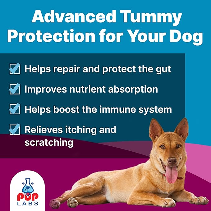 K9 Belly Bliss, All-Natural Gut Health for Dogs, Vet Approved Prebiotic for Dogs for Daily Digestive Support & Dog Constipation Relief, Topper for Dry & Wet Food, 6 Pack with 30 Scoops Each.