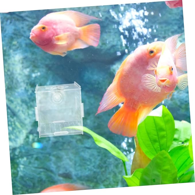 Milisten Breeder Box for Fish Tank Transparent Acrylic Isolation Box Aquarium Fish Breeding Trap