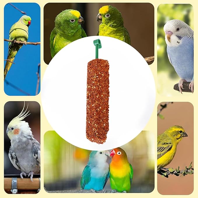 Bird Treat Stick Set, Chewing Training Reward Snacks, Multi Species Nutrition for Cockatiel Finch and Parrot, Natural Seed Blend Formula, Free Hanging Design, Healthy Enrichment Support