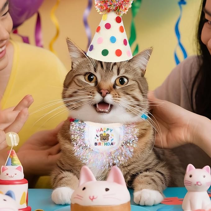 Cat Birthday Hat and Bandana Scarf, Cat Birthday Outfit Party Hat Dog Costumes Cute Lace Puppy Bib Scarf Party Decorations Set for Small Medium Cats & Doggy