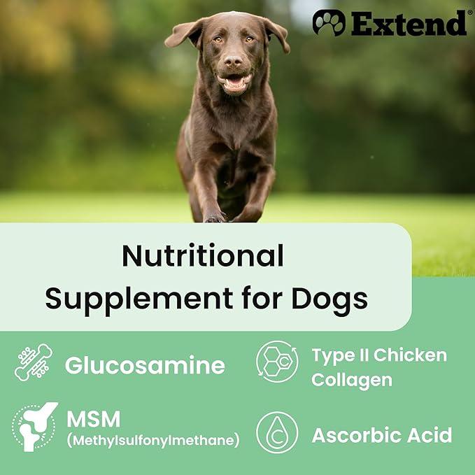 Extend Joint Care for Dogs Beef Flavored Joint Supplement Powder Packets with Glucosamine, Chondroitin, MSM & Collagen, Hip & Joint Support, Mobility & Cartilage Health, Daily Dog Supplement, 60 Count