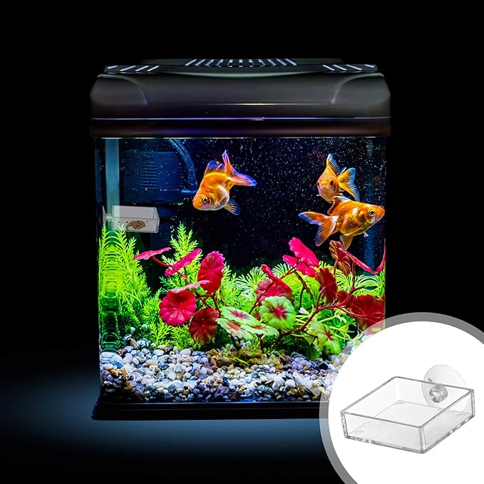 balacoo Aquarium Feeding Plate with Suction Cup Transparent Shrimp Feeder Bowl Adjustable Height Fish Tank Feeder for Freshwater Fish and Shrimp Easy to Clean 2.55 Inch Square