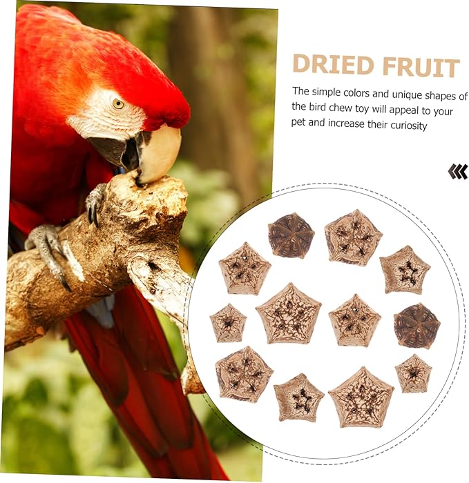 12pcs Parrot Beak Fruit Chewing Treats Bird Toys for Parrots Foraging Toy for Conure