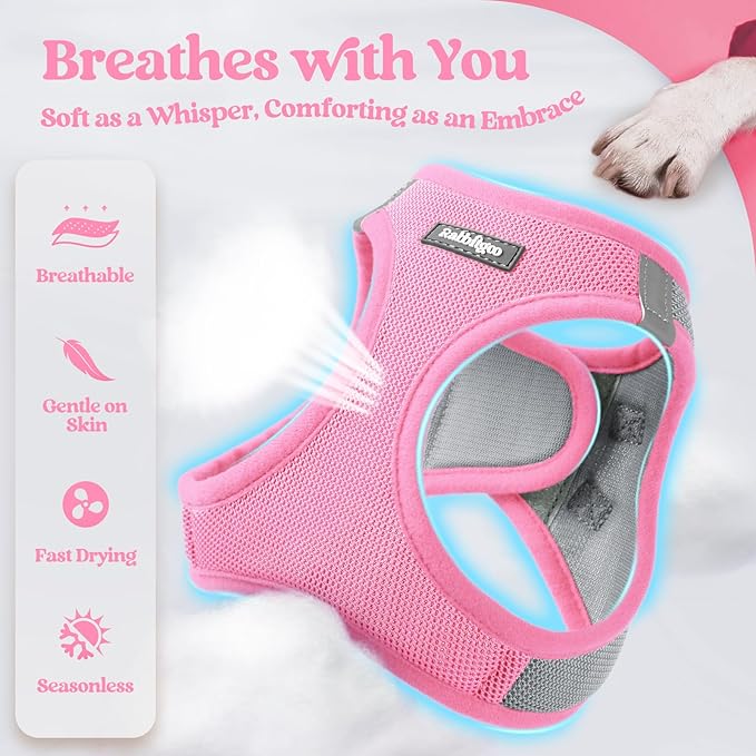 rabbitgoo Dog Harness Small Sized and Leash Set, Step in Soft Light Puppy Vest, Breathable Mesh Pet Harness, Reflective for Safe Easy Walking, Pink & Gray S