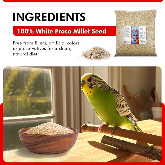 Morning Bird White Proso Millet 9 lbs – Natural Bird Seed – Supports Feather Growth & Balanced Nutrition – High Energy Delicious Seed - Ideal for Finches, Parakeets & Pet Birds