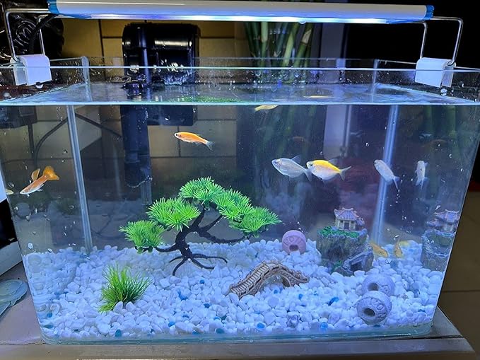 Small Japanese Fish Tank Decorations Set, Suitable for Aquariums up to 5 Gallon or Fish Bowl, Includes Small Decorations Artificial Plastic Plants Fish Tank House