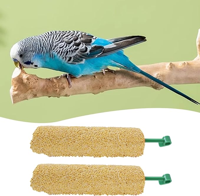 Bird Treat Sticks - Natural Foraging Snacks for Parakeets, Conures, Small Birds with Chewing and Training Benefits | 2-Piece Reward Food for Myna, Finch, Parrot, Fun and Healthy Bird Care
