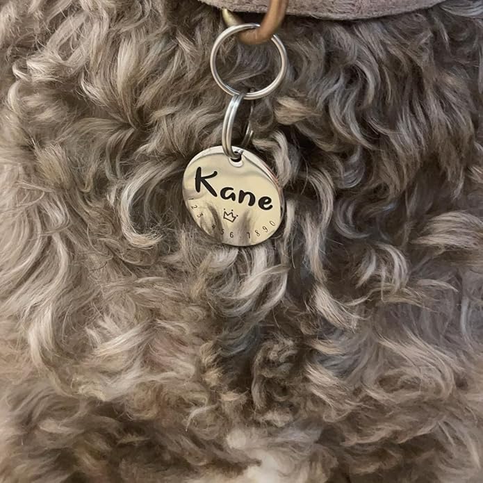 Cats Dogs ID Tags Personalized Cute Symbols Pets Collar Name Accessories Simple Custom Engraved Pet Name Tags Anti-Lost Stainless Steel Charm (Gold)