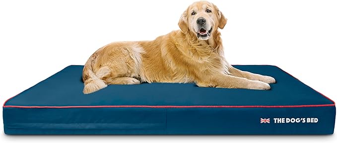 The Dog’s Bed Orthopedic Memory Foam Dog Bed Mattress, Oxford Fabric, Blue with Red Trim, XXXL, 6-Inch