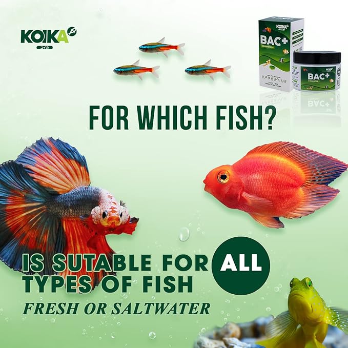 KOIKA BAC+ Aquarium Probiotics Powder, Improves Water Conditions for Fish and Shrimp, Supports Clean Water and Tank Balance, for Aquatic Use Only (BAC+(Powder), 2.82 oz)