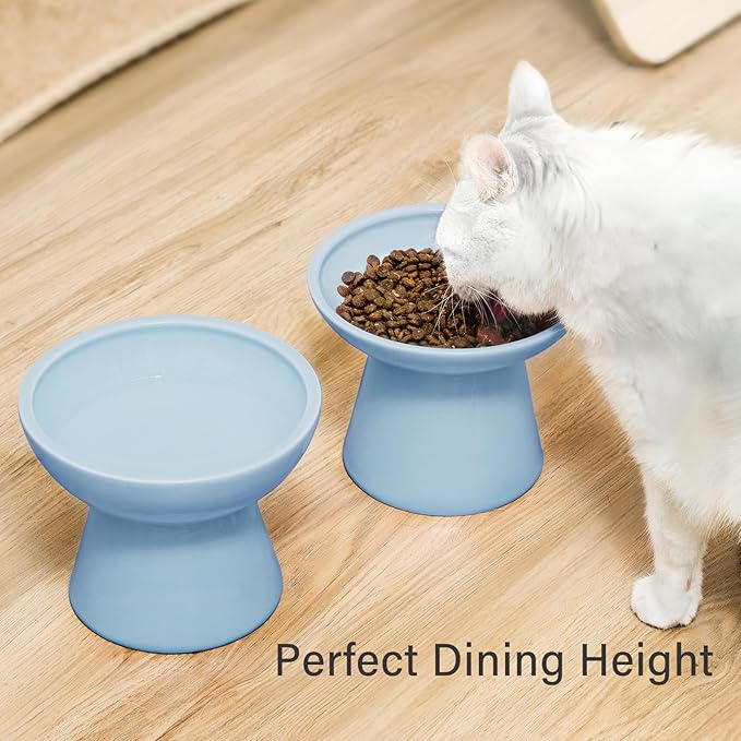 Extra Wide Elevated Ceramic Cat Water Bowl - 6.2" Deeper Dish for Whisker Fatigue Relief, 5" Height for Easy Feeding, Lead & Cadmium Free, Durable Raised Cat Bowls, Blue