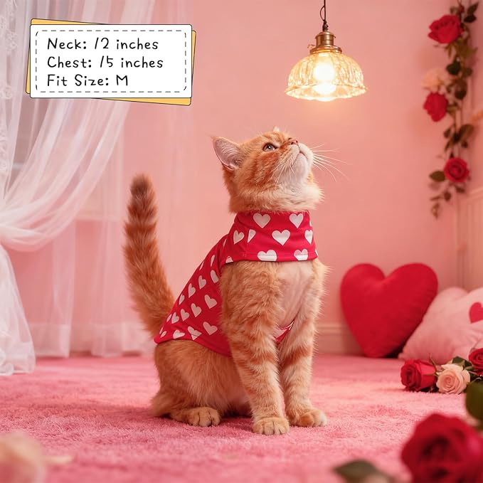 EXPAWLORER Cat Valentines Outfit Sweater - Valentine's Day Sweater for Cats Only Warm Kitten Clothes, Pet Coat Pullover Design, Fleece Sweatshirt Clothing Also for Puppy Small Dogs, Pink Heart M