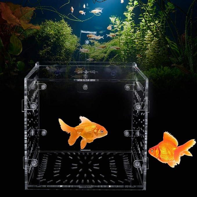 EVTSCAN Aquarium Breeder Box for Fish Tank, Fish Breeding Box Tank Hatchery Incubator Aquarium Isolation Box for Seedlings Incubation(S)