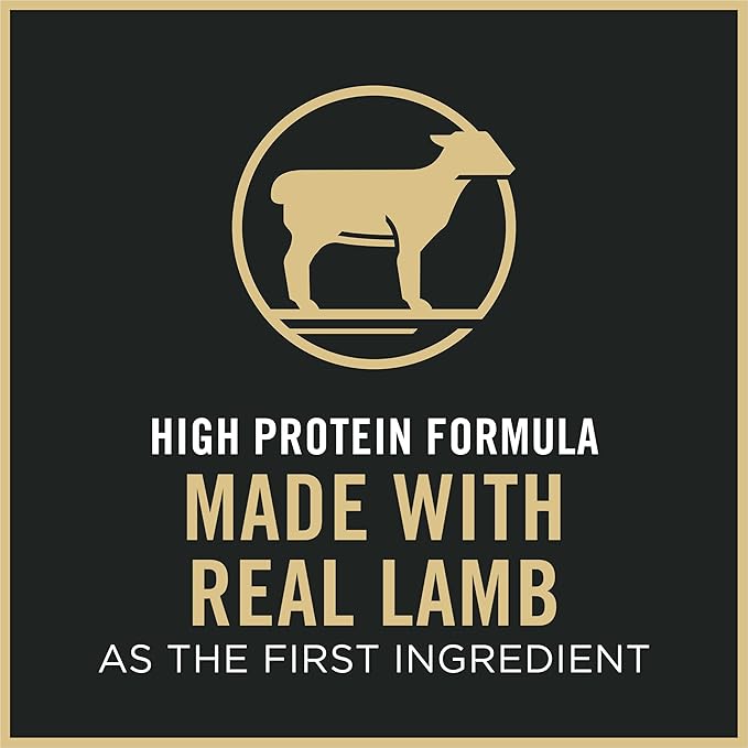Purina Pro Plan Sensitive Skin and Stomach Cat Food, Lamb and Rice Formula - 16 lb. Bag