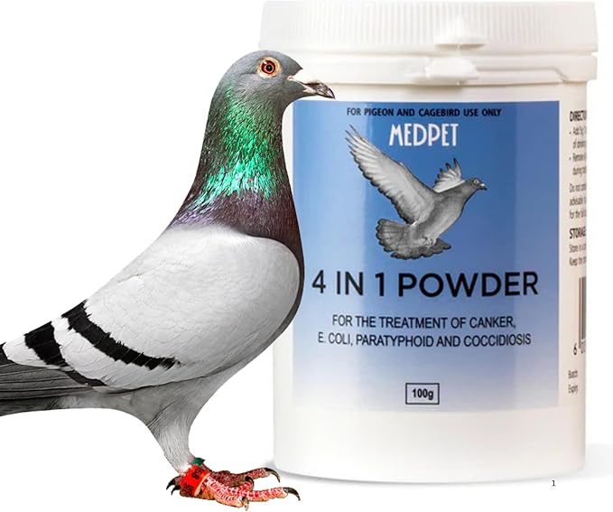 4 in 1 Powder for Pigeon and Birds Treatment 100g for Pigeons and Birds (Powder ONLY 100G)