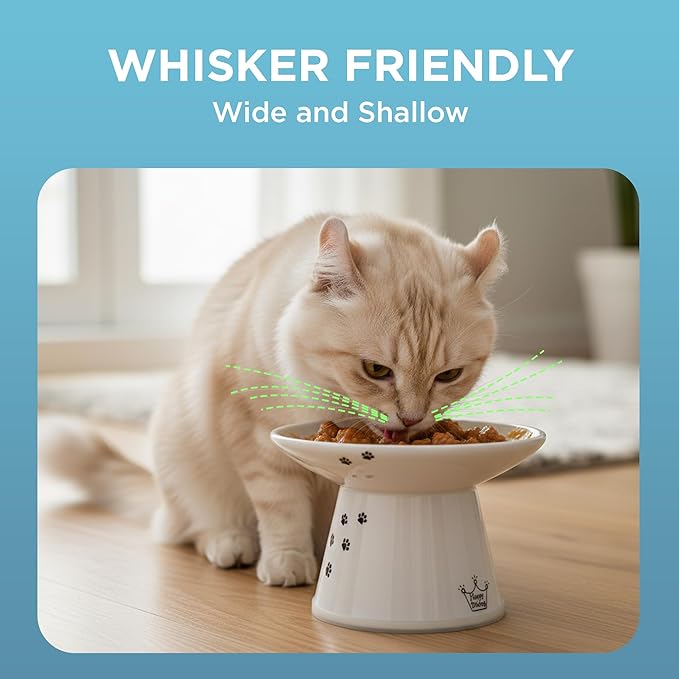 Necoichi Raised Cat Food Bowl – Ceramic Elevated Cat Bowl for Whisker & Neck Fatigue, Dishwasher Microwave Safe – Non-Slip & Anti Vomiting Ergonomic Design (Cats, Extra Wide, 2-Cups Capacity)