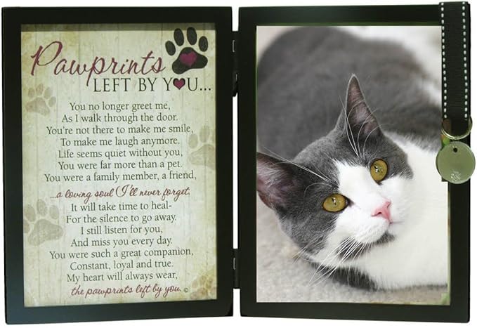 Pawprints Left By You Memorial 5x7 Frame for Cat with Pet Tag - Thoughtful Cat Memorial Gift
