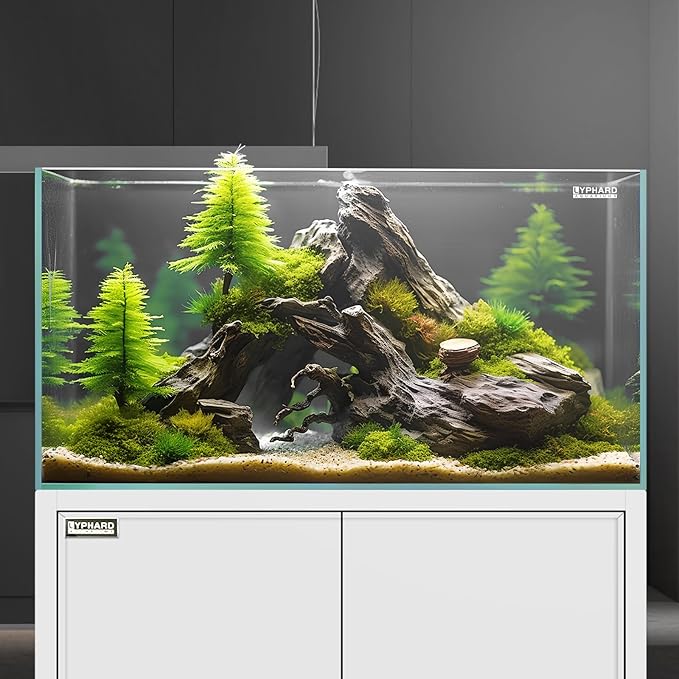 LYPHARD AQUARIUMS 21 Gallon Rimless Aquarium Tall Tank, Ultra Clear Low Iron Big Fish Tank, L15.8×W15.8×H19.7 Glass Thickness 6mm with EVA Foam Leveling Mat