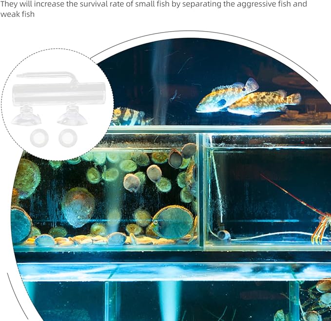 1 Set Fish Tank Incubator Glass Containers Fishing Tumbler Glass Aquarium Shrimp Breeding Box Fish Container Transparent High Borosilicate Glass Crystal Shrimp Fish Eggs