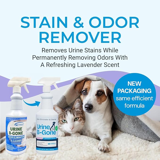 Urine B-Gone, Professional Enzyme Odor Eliminator & Pet Stain Remover, Human, Cat & Dog Urine Cleaner, Effective on Laundry, Carpets & More, Lavender Scent, 32oz