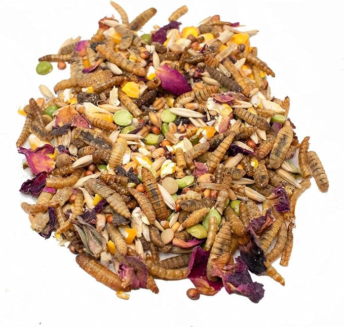 Pampered Chicken Mama Omega-Rich Rainbow Burst Chicken Treats for Hens with Black Soldier Fly Larvae for Chickens, Dried Mealworms for Birds, Grubs for Chicken Feed, (4 pounds)