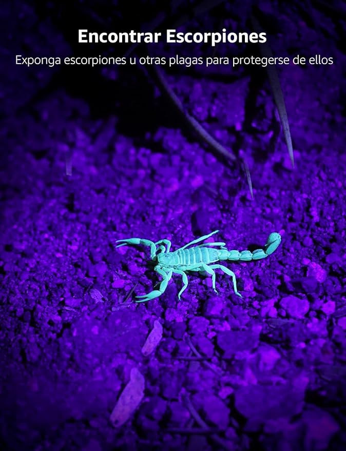 Lighting EVER Black Light Flashlight, Small UV Lights 395nm, Portable Ultraviolet Light Detector for Invisible Ink Pens, Dog Cat Pet Urine Stain, AAA Batteries Included