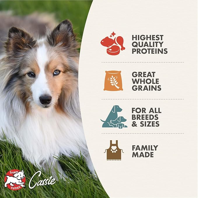 Fromm Adult Gold with Ancient Grains Dog Food - Premium Dry Dog Food - Chicken Recipe - 15 lb