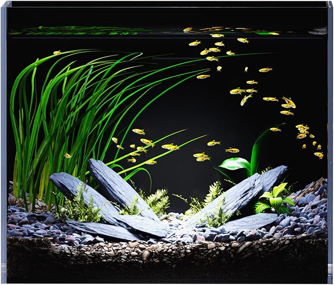 3 Gallon Glass Fish Tank Ultra Clear Rimless Aquarium, Built-in Black Background Rectangular Tank
