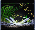 3 Gallon Glass Fish Tank Ultra Clear Rimless Aquarium, Built-in Black Background Rectangular Tank