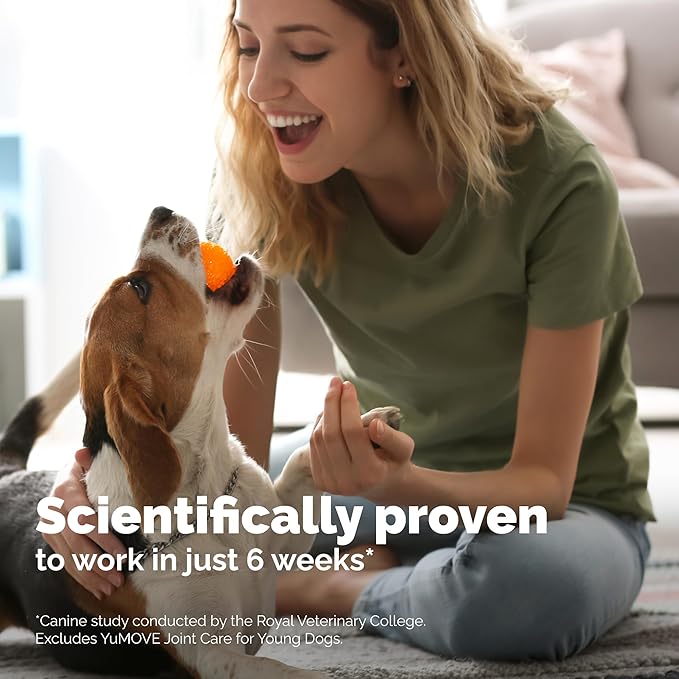 YuMOVE Dog Joint Supplement, Hip and Joint Supplement for Dogs with Glucosamine for Dogs, Hyaluronic Acid, Green Lipped Mussel and Omega 3, Dog Hip and Joint Aches and Stiffness (300 Soft Chews)