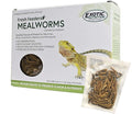 Fresh Feeders (Mealworms) - All Natural High Protein Insect Treat - Single Serving Pouches - Chickens, Wild Birds, Hedgehogs, Bluebirds, Reptiles, Sugar Gliders, Opossums, Skunks, Lizards
